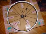 DSC00081.JPG