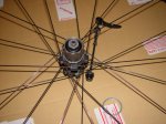 DSC00083.JPG