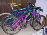 bicis 1 031 (Small).jpg