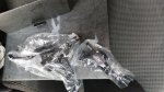 IMG-20220127-WA0002.jpg