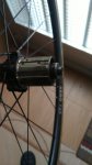 IMG-20220223-WA0014.jpeg