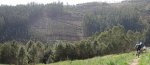 Panorama 7.JPG
