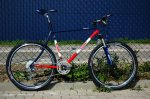 RITCHEY PLEXUS.jpg