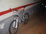 DSC02445.JPG