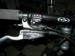 giant 028.jpg
