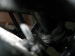 scott%20ransom%2020%20016.jpg