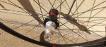 IMG_20220407_110746-min.jpg