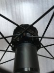 IMG-2563.JPG