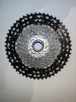 PXL_20220614_192529091.jpg