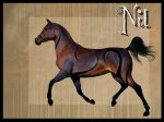Nil_by_QueenOfGoldfishes.jpg