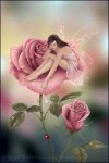 rose_by_twosilverstars.jpg