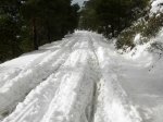 nieve53.jpg