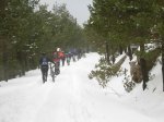 nieve60.JPG