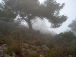 Imagen 033.JPG