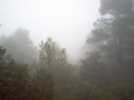 Imagen 035.JPG