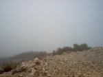 Imagen 043.JPG