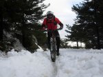 nieve50.JPG