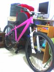 picture035.jpg