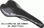 slrcarbon.gif