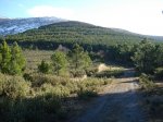 DSC03404_resize.JPG