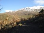 DSC03406_resize.JPG