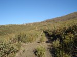 DSC03423_resize.JPG