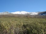 DSC03430_resize.JPG