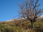 DSC03439_resize.JPG