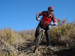 DSC03461_resize.JPG