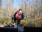 DSC03475_resize.JPG