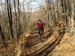 DSC03482_resize.JPG