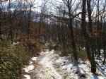 DSC03498_resize.JPG