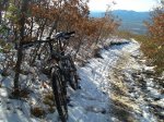 DSC03503_resize.JPG