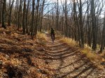 DSC03486_resize_resize.JPG