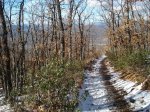 DSC03496_resize_resize.JPG