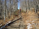 DSC03533_resize.JPG