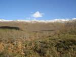DSC03550_resize.JPG