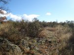 DSC03561_resize.JPG