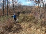 DSC03562_resize_resize.JPG