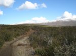 DSC03587_resize.JPG