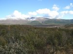 DSC03588_resize.JPG