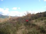DSC03591_resize.JPG