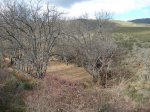 DSC03594_resize.JPG