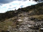 DSC03603_resize.JPG