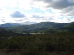 DSC03618_resize.JPG