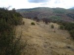 DSC03623_resize.JPG