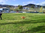 DSC00155.JPG