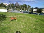 DSC00157.JPG