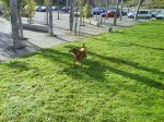DSC00163.JPG
