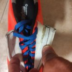 IMG_20220719_095518.jpg